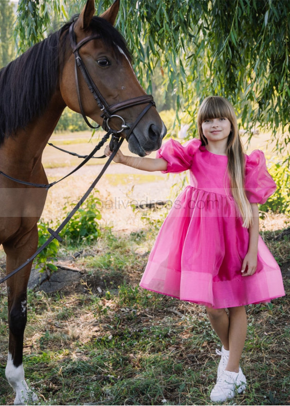 Fuchsia Organza V Back Flower Girl Dress